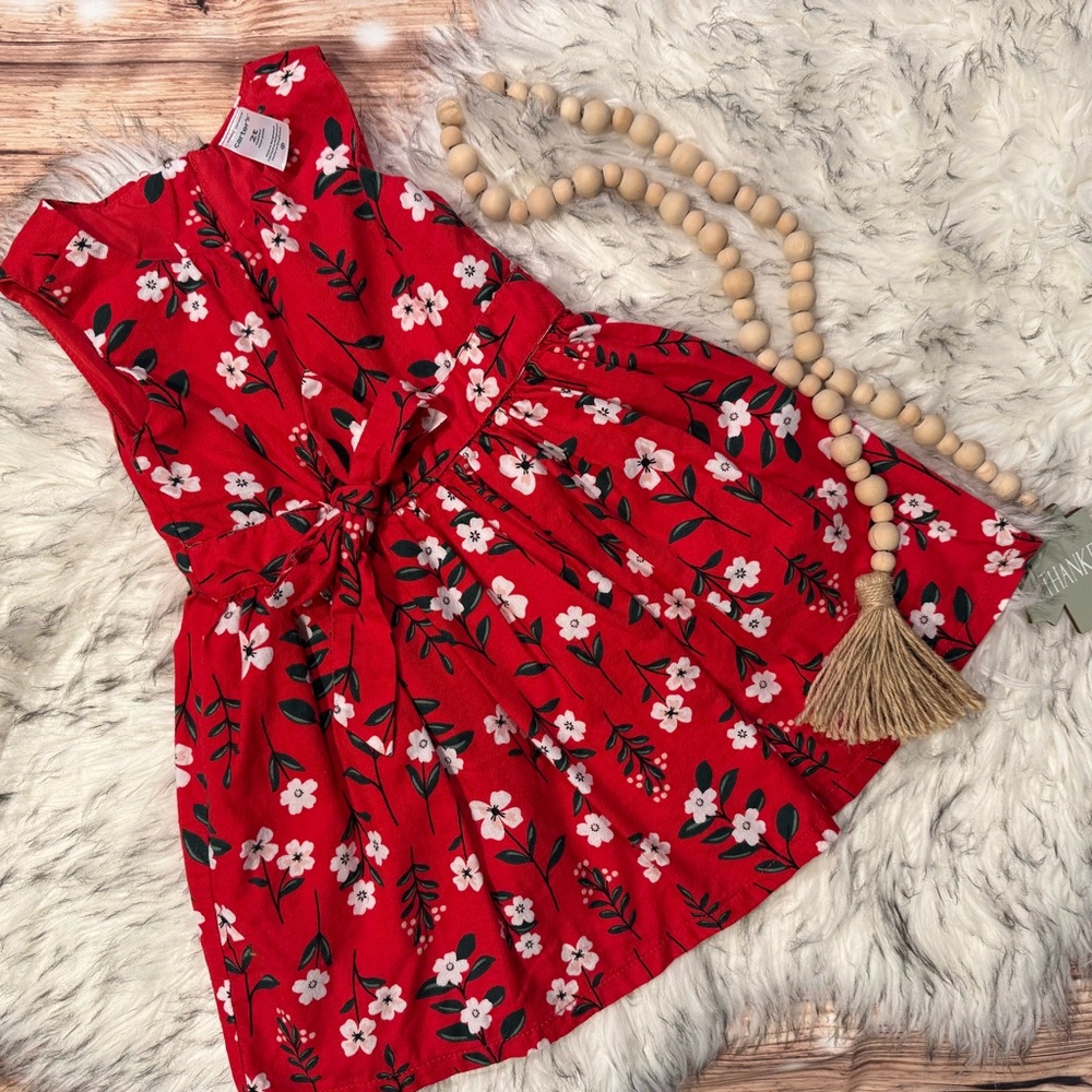 Carter’s Floral Red Kids Holiday Dress